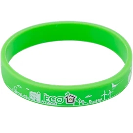Силиконовый браслет Technodom "Eco City", Green/White (Bracelets_Eco2) фото